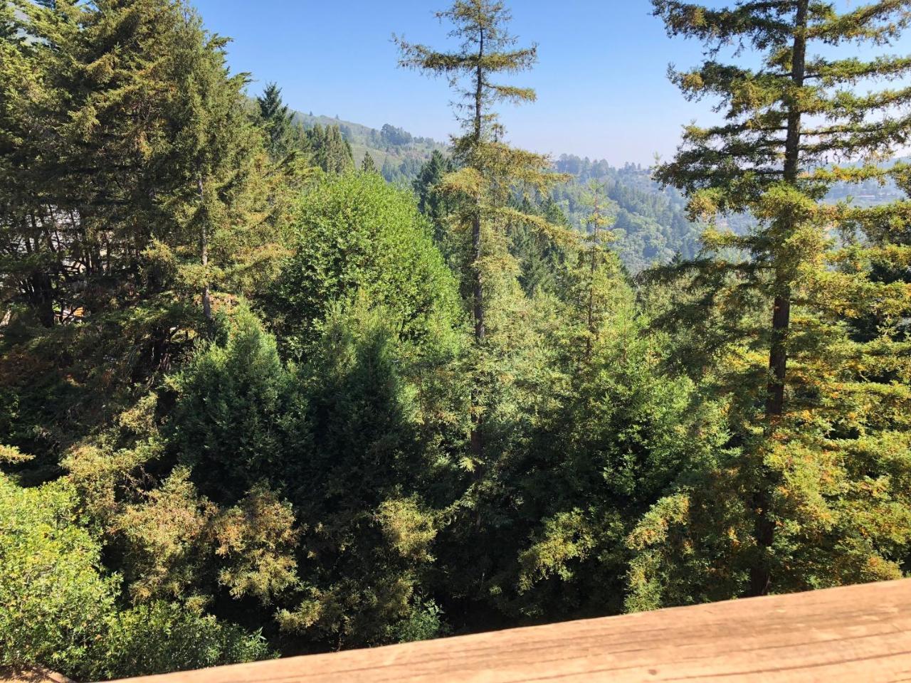 Mountain Mill Valley