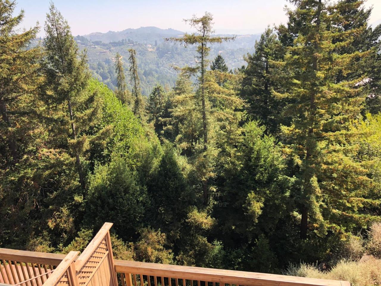 Mountain Mill Valley